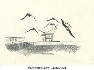 Seagull Over Water, Drawing 