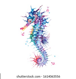 Seahorse painted with fantasy style watercolor.The image of sea creatures swimming underwater world.Colorful marine animal illustrations.