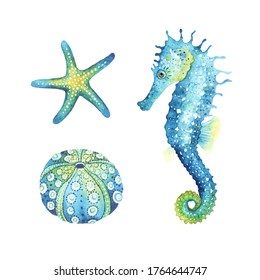 Seahorse, starfish and urchin shell, watercolor animal set illustrations. Ocean wildlife, design elements isolated on white background, print sea symbols.