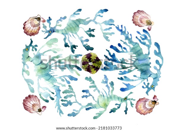 Seahorses and\
shells. Watercolor ornament with seahorses, sea urchin and\
seashells on a white background. Nautical pattern hand drawn. Can\
be used to print posters,\
postcards.
