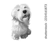 Sealyham Terrier toy god, pet of small size watercolor portrait digital art. Hand drawn domestic animal with long haired coat canine purebred with opened mouth, toy breed small sized muzzle.