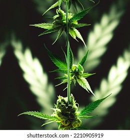 Seamless 3D Pattern Illustration Of A Cannabis Plant