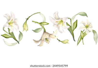 Seamless border of flowers pastel color botanical art. White lilies watercolor isolated on white. Lilium and leaves hand drawn. Design for wedding invitation in church, christening, Easter card - Powered by Shutterstock