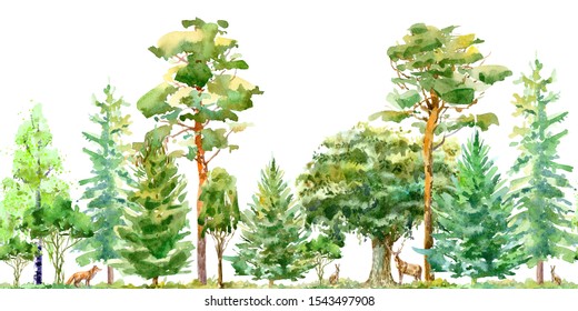Seamless border of a fox,hare, deer, oak,birch,pine,spruce.Forest animals.Deciduous and conifers tree.Watercolor hand drawn illustration.White background.