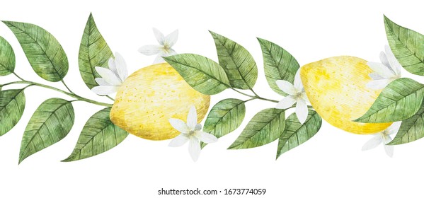 181,143 Lemon garden Images, Stock Photos & Vectors | Shutterstock