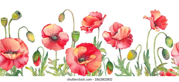 Seamless border with red poppy flowers. Watercolor floral illustration on white background.
