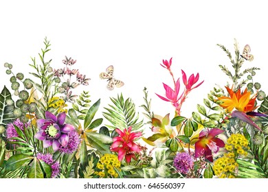 Seamless  border with tropical plants - flowers, leaves. exotic watercolor floral pattern with herbs, butterfly. Seamless floral rim, band for cards, invitation or fabric. 