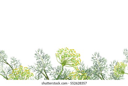 Seamless Border Of Watercolor Fennel Plant