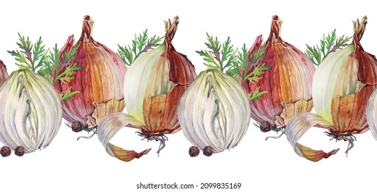 Seamless Border Watercolor Unpeeled And Slice Onion Black Peppercorn And Greenery Dill On White Background. Vitamin Golden Brown Vegetable For Health. Hand-drawn Spicy Food For Soup Cookbook Menu.