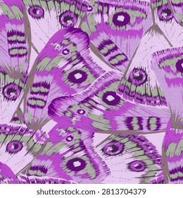 Un  mariposa sin