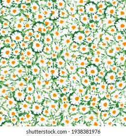 Seamless Chamomile Pattern. Watercolour Illustration. Summer Background