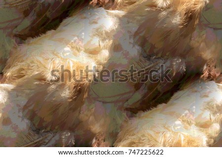 Seamless Chicken Feather Texture in Neutrals