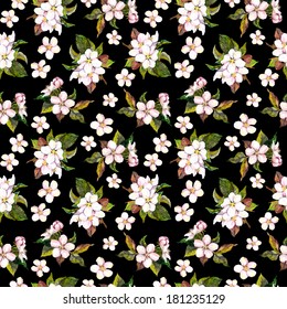 Seamless contrast floral backdrop with watercolour painted white apple or cherry flowers on dark black background