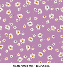 Seamless Cute Daisy Flower Pattern Stock Illustration 1609063582