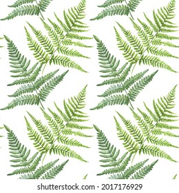 Seamless floral pattern with fern on white background, watercolor. Template design for textiles, interior, clothes, wallpaper. Botanical art