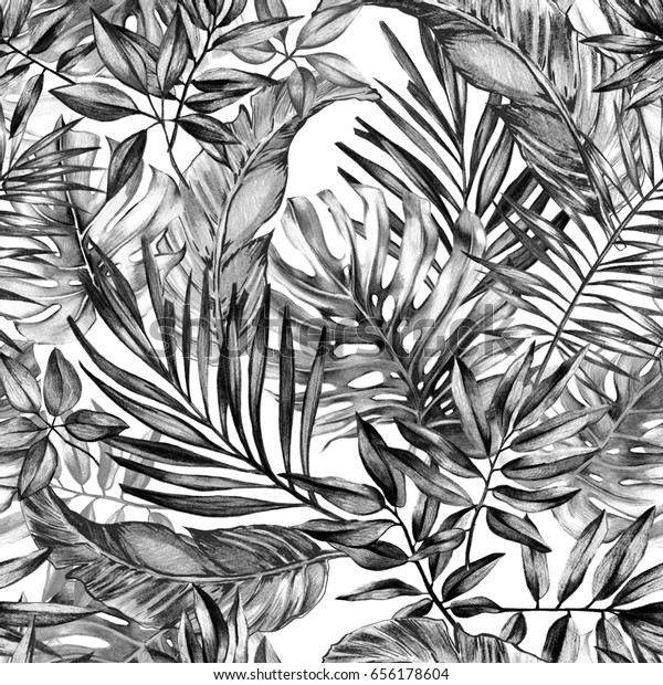 シームレスな白黒の手描きの炭熱帯模様 熱帯性の植物 モンステラの葉 アレカヤシ バナナの葉 のイラスト素材