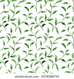 Seamless Leaf branch Pattern on white background. Endless Watercolor hand painted botanical ornament. Foliage, greenery, mint, green tea, herbs