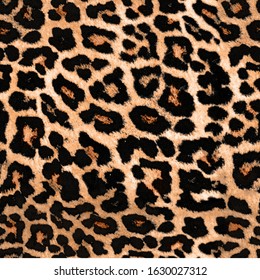 Seamless Leopard Pattern, African Animal Fur, Jaguar Fur, Leopard Texture