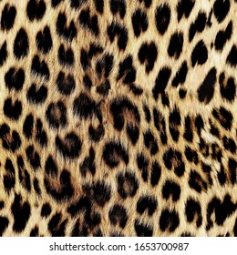 Seamless leopard texture, leopard fur, african animal texture
