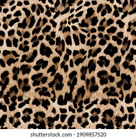 Seamless leopard texture  leopard fur  animal pattern