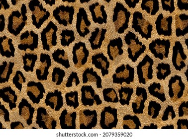 Seamless Leopard Texture, Leopard Fur, Animal Print, African Animal Texture.