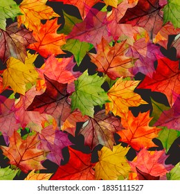 Seamless pattern of autumn maple leaves.Textile design.Art.Picture on white and colored background.