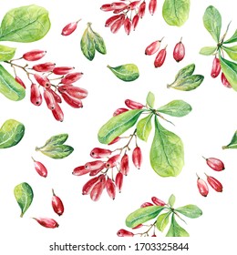 Seamless Pattern Of Berries Barberry And Honeysuckle Watercolor