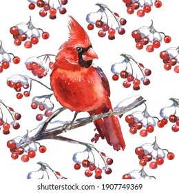 Seamless Pattern. Cardinal birds - a symbol of Christmas. Set of elements for design Isolated on white background. Realistic sketch drawing. Watercolor illustration.