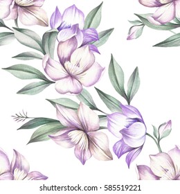 Seamless pattern with Clematis. Hand draw watercolor illustration
