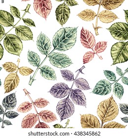 Seamless pattern with colorful leaf, autumn vintage roses leaves background. Hand drawn illustration on white background.