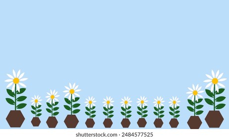 Seamless pattern of cute white daisy flowers in a row planted in a pot on a light blue background. Vector illustration.