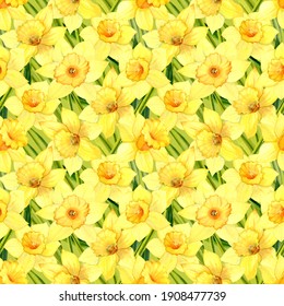 Seamless pattern. Daffodils painted with watercolors. Yellow flowers on a green background. For fabric or packaging paper. Home decor.