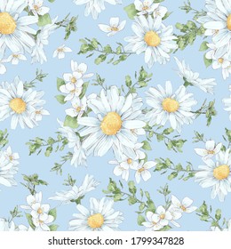 Seamless pattern daisies   wildflowers in digital watercolor style