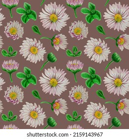 Seamless pattern of daisy flowers drawn with colored pencils on a Deep Taupe background. For fabric, sketchbook, wallpaper, wrapping paper.