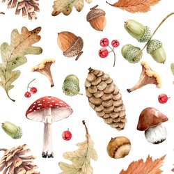Seamless Pattern With Design Of Forest Plants Leaves, Cones And Mushrooms. Hand Painted Watercolor.
