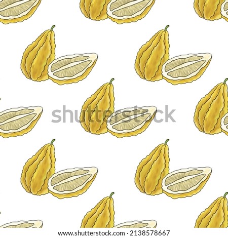 seamless pattern with drawing citron, citrus fruit at white background, hand drawn illustration