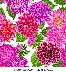 seamless pattern and drawing pink dahlia nd aster flowers at white background   hand drawn botanical illustration