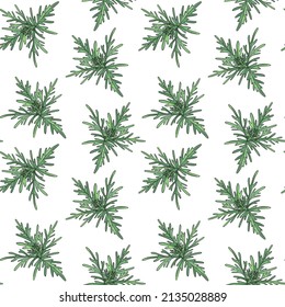 Seamless Pattern With Drawing Plant Of Dhavanam, Davana, Artemisia Pallens At White Background, Hand Drawn Illustration