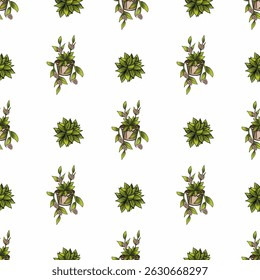 Seamless pattern featuring hand-drawn illustrations of potted succulents and trailing plants with delicate pink blossoms, set against a clean white background.