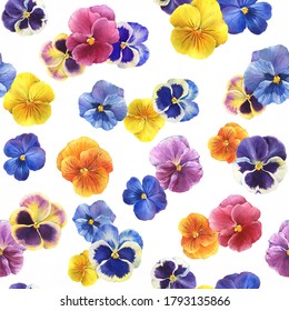 Seamless pattern with the garden tricolor pansy flower (Viola tricolor, viola arvensis, heartsease, violet, kiss-me-quick). Watercolor hand drawn painting illustration isolated on white background.