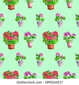 Seamless Pattern Geraniums Pots Hand Drawn Stock Illustration ...