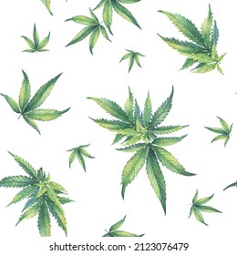 Seamless pattern with a green branch of Cannabis sativa (Cannabis indica, Marijuana) medicinal plant. Watercolor hand drawn painting illustration isolated on a white background.