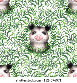 Seamless pattern with green grass and cute opossums