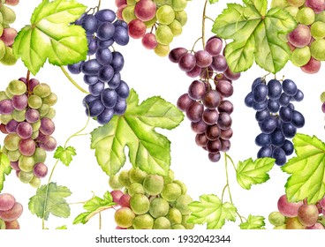 Seamless Pattern With Green, Red And Black Grapes, Drawing In Watercolor At White Background, Hand Drawn Botanical Illustration