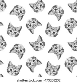 Seamless pattern and hand  drawn Cat  