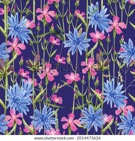 Seamless pattern of herbs, field carnation and chicory, watercolor