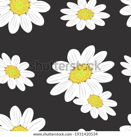 Seamless pattern with large floral chamomile on a dark gray background. For printing on fabrics, textiles, paper, interior design. 