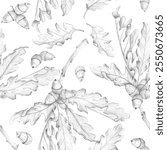 Seamless pattern with oak branch, oak leaves and acorns on a white background. A hand-drawn pencil sketch, a botanical illustration. Oak bark, medicine. Template for packaging design, wallpaper