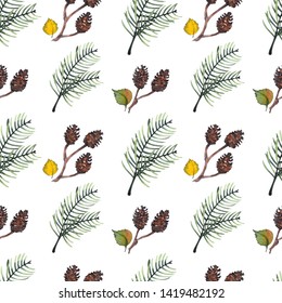 Seamless pattern with pine branches, alder cones and leaves. Forest illustration. Watercolor on white background.