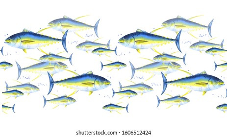 Seamless Pattern Of School Of Yellowfin Tuna, Thunnus Albacares. Watercolor Illustration Fish Border On White Background